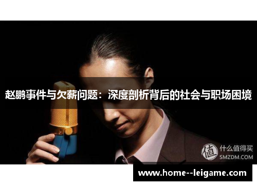 赵鹏事件与欠薪问题：深度剖析背后的社会与职场困境