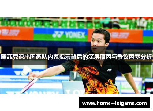 陶菲克退出国家队内幕揭示背后的深层原因与争议因素分析