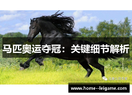 马匹奥运夺冠:关键细节解析 马匹奥运夺冠:关键细节解析