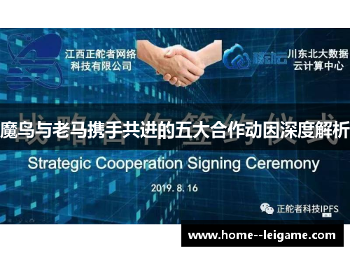 魔鸟与老马携手共进的五大合作动因深度解析 魔鸟与老马携手共进的五大合作动因深度解析