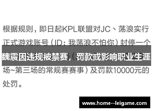 魏震因违规被禁赛,罚款或影响职业生涯 魏震因违规被禁赛,罚款或影响职业生涯