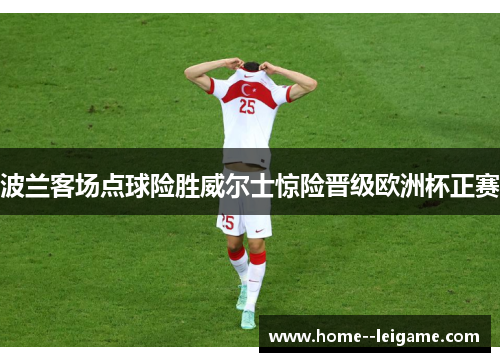 波兰客场点球险胜威尔士惊险晋级欧洲杯正赛