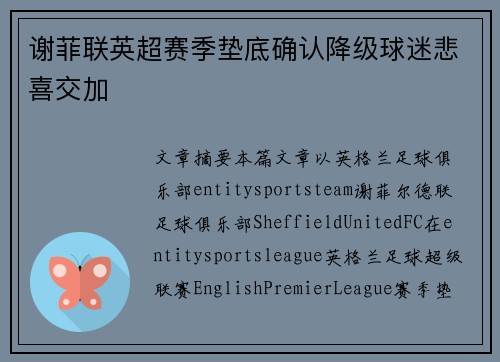 谢菲联英超赛季垫底确认降级球迷悲喜交加