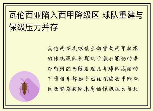 瓦伦西亚陷入西甲降级区 球队重建与保级压力并存